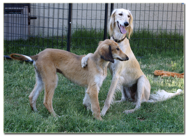 Lakota and Kabria, best friends!