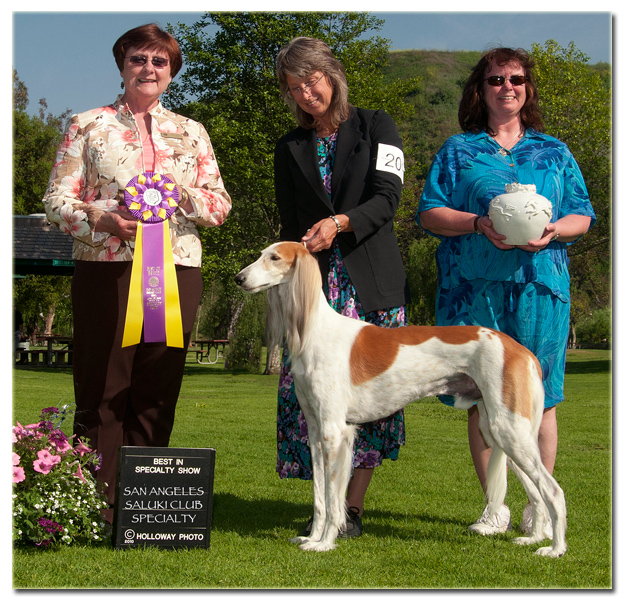 Seca wins Best in Specialty Show #3!