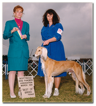 Shadow winning one of his Best of Breeds!